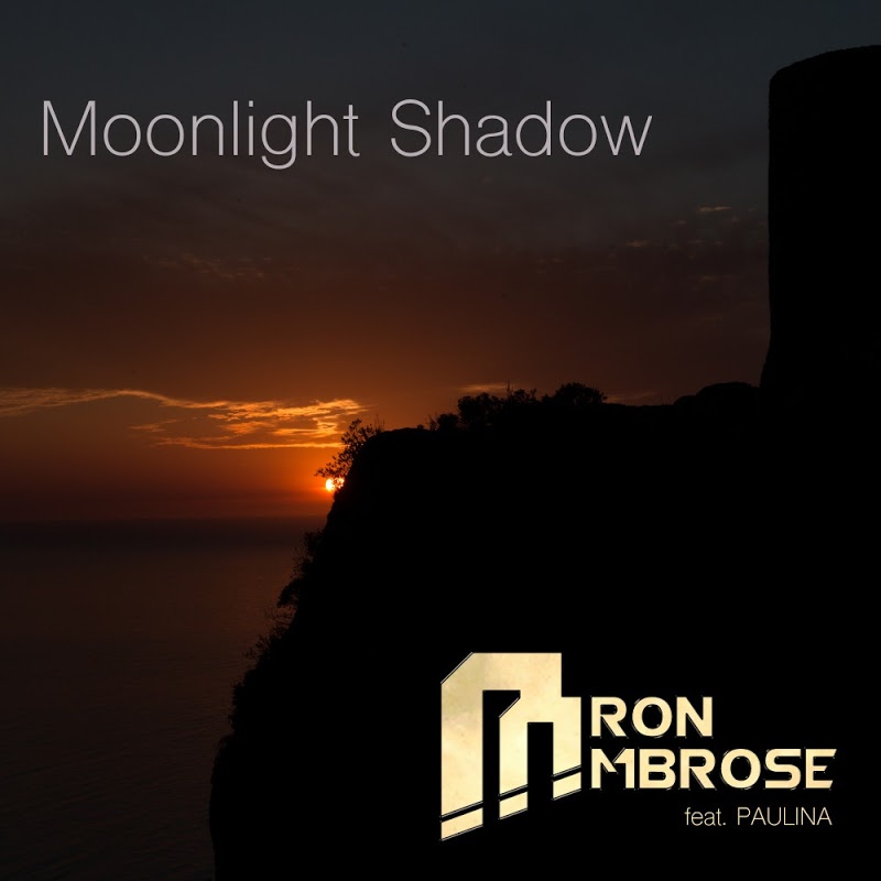 Aaron Ambrose feat. Paulina - Moonlight Shadow (Scotty Remix)